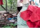 रोणापाल- सोनुर्ली येथील घनदाट जंगलात साखळदंडाने बांधलेल्या स्थितीत आढळली परदेशी महिला; घटनेने सिंधुदुर्गात उडाली खळबळ.