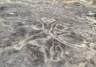 लांजा तालुक्यात सापडला २३ कातळशिल्पांचा खजिना.