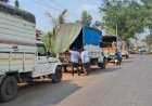 गुरे वाहतूक करणारा टेम्पो दोडामार्गात रोखला