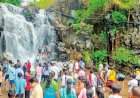 सतत कोसळणाऱ्या पावसामुळे देवगड तालुक्यातील मुख्य धबधबे प्रवाहित