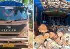 इन्सुली येथे तब्बल १० लाखांचा खैर लाकडाचा साठा जप्त