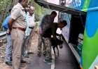पर्यटन हंगामात अमली पदार्थ तस्करी रोखण्यासाठी सिंधुदुर्ग पोलिसांची कडक तपासणी मोहीम
