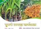 कणकवलीत ७ जून रोजी सुपारी लागवड कार्यशाळा.....३१ मे पर्यंत नोंदणी करणाऱ्यांना विशेष सवलत