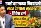 एनडीआरएफच्या निकषांपलीकडे मदत देण्यास सरकार तयार-नितेश राणे....कोकणातील आंबा-काजू उत्पादकांना मिळणार दिलासा.