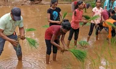 दाभोली इंग्लिश स्कूलच्या बांधावरची शाळा उपक्रमाला विद्यार्थी व ग्रामस्थांचा उत्स्फूर्त प्रतिसाद.