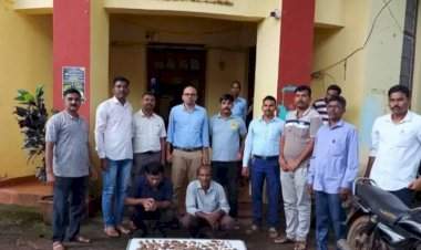 खवले मांजराच्या खवल्यांची तस्करी प्रकरणी दोन आरोपींना अटक; सावंतवाडी वन विभागाची कारवाई.