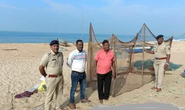 चालू हंगामातील जिल्ह्यातील पहिले ऑलिव्ह रिडले कासवाचे घरटे आढळले वेंगुर्ला समुद्रकिनारी.