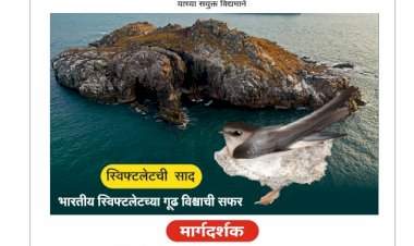 वेंगुर्ला येथे उद्या स्विफ्ट लेटची साद भारतीय स्विफ्ट लेटच्या गुढ विश्वाची सफर कार्यक्रमाचे आयोजन.
