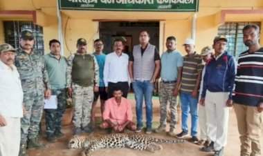 फासकीत अडकून बिबट्याचा मृत्यू.  कणकवली साळिस्ते येथील घटना.