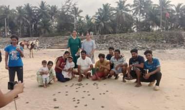 शिरोडा वेळागर येथे ऑलिव्ह रिडले कासवाच्या पिल्लांना जीवदान.