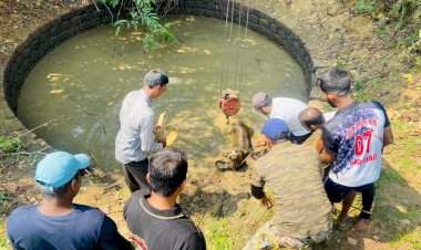 घावनळे येथे विहिरीत पडलेल्या गव्यांना वनविभागाकडून जीवदान.
