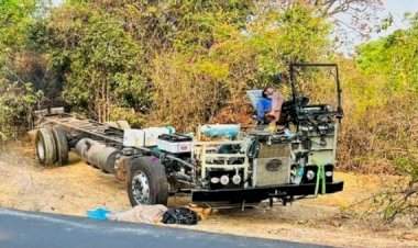 आंबोली नांगरतास येथे गवारेड्याची ट्रकला धडक; चालक जखमी.