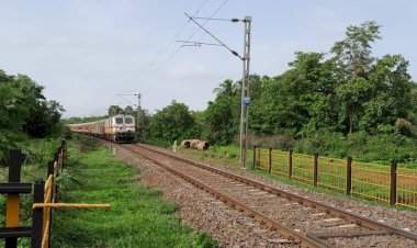 बोर्डवे रेल्वेस्थानक प्रश्नाबाबत खा.नारायण राणेंची घेणार भेट : सामजिक कार्यकर्ते बबली राणे.