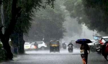 राज्यात आज मुसळधार पावसाची शक्यता; पालघर, पुणे, सातारा जिल्ह्यात रेड अलर्ट जारी.