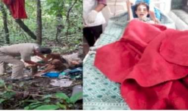 रोणापाल- सोनुर्ली येथील घनदाट जंगलात साखळदंडाने बांधलेल्या स्थितीत आढळली परदेशी महिला; घटनेने सिंधुदुर्गात उडाली खळबळ.