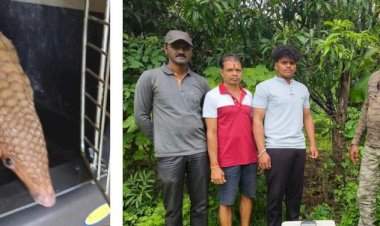 कांदळगाव येथे जाळ्यात अडकलेल्या खवले मांजराला वन विभागाकडून जीवदान.