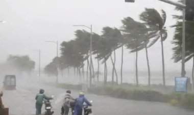 राज्यातील सहा जिल्ह्यात आज जोरदार पावसाचा इशारा.