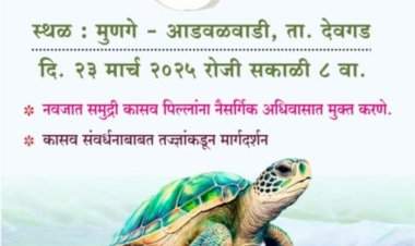 वनविभाग कांदळवन कक्ष, महाराष्ट्र राज्य यांच्या विद्यमाने देवगड येथे कासव महोत्सव