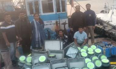 दाभोळ समुद्रात एलईडी लाईटचा पुरवठा करणाऱ्या बोटीवर मत्स्यव्यवसायची कारवाई