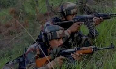 पुलवामा त्राल भागात तीन दहशतवादी ठार