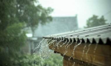 सिंधुदुर्गात वळवामुळे आंबा, काजू, कोकम पीक धोक्यात