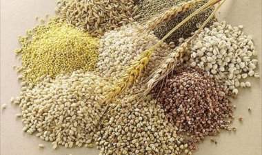 पौष्टिक तृणधान्य उपअभियान (श्रीअन्न) पिक प्रात्यक्षिकासाठी २९ मेपर्यंत अर्ज करण्याचे आवाहन