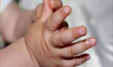 मालवण येथे आढळले स्त्री जातीचे नवजात अर्भक