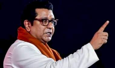 ही भीती असलीच पाहिजे......त्रिभाषा धोरण स्थगित होताच राज ठाकरेंची प्रतिक्रिया