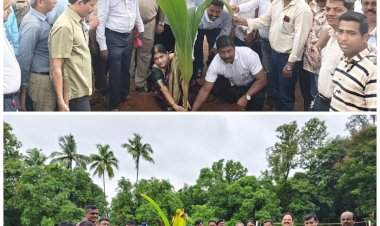 कृषी दिनानिमित्त कणकवली तालुका पत्रकार संघाच्यावतीने वृक्षारोपण