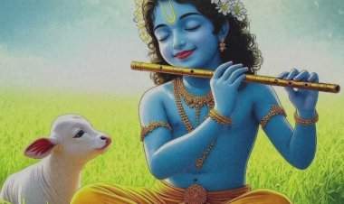 'नंदाच्या अंगणात गोकुळाचा नाथ आला…गोपाळाच्या हास्यातून विश्वाला नवी दिशा मिळाली…'