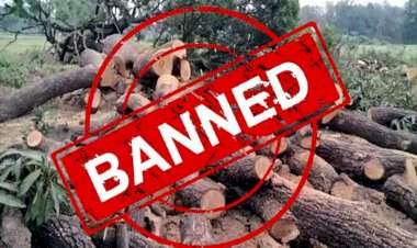 दोडामार्ग आणि सावंतवाडी तालुक्यातील १३ गावांमध्ये वृक्षतोडीस बंदी.......पर्यावरण संतुलनासाठी टास्क फोर्स सक्रिय; २५ गावे इको सेन्सिटिव्ह झोनमध्ये