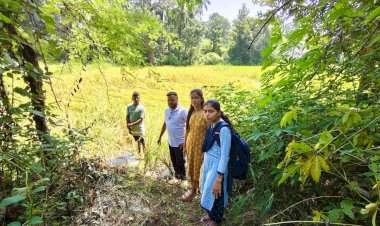 शेतकऱ्यांच्या मदतीसाठी उपसरपंचांचा तत्पर प्रतिसाद......न्हावेलीत पिक नुकसानीची पाहणी सुरू