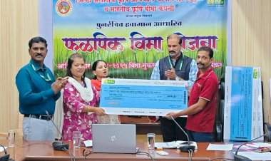 सिंधुदुर्ग जिल्ह्यातील ४२ हजार शेतकऱ्यांना ९० कोटींची पीकविमा नुकसान भरपाई!