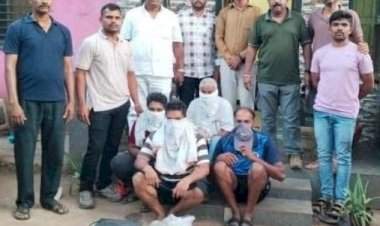 शिरोडा येथे तब्बल सात कोटींची देव माशाची उलटी जप्त