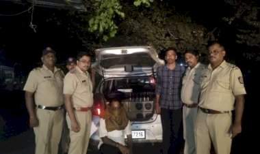 गोवा बनावटी दारूची अवैध वाहतूक करणाऱ्या एकाला अटक