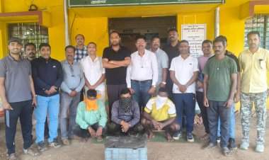 देवगड येथे ८ कोटींची अंबर ग्रीस जप्त, तिघांना अटक  