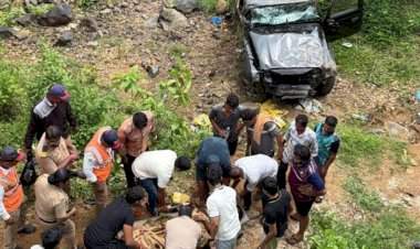 नेमळे येथे थार गाडी दरीत कोसळली...महिलेसह चौघे जखमी