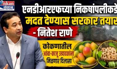 एनडीआरएफच्या निकषांपलीकडे मदत देण्यास सरकार तयार-नितेश राणेंची....कोकणातील आंबा-काजू उत्पादकांना मिळणार दिलासा.