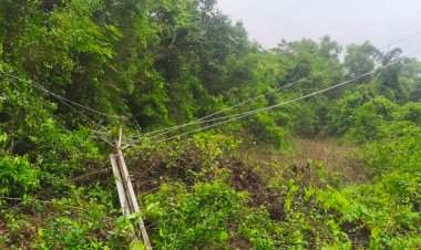 बांदा परिसरातील कास येथे  ११ केव्हीचा पोल कोसळला.