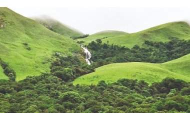 सावंतवाडी-दोडामार्गमधील २५ गावे पर्यावरण संवेदनशील क्षेत्रात....बेकायदा वृक्षतोडीवर टास्क फोर्सची नजर