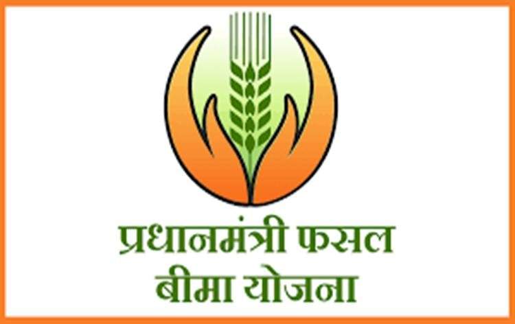 प्रधानमंत्री फसल बिमा योजनेंतर्गत पुनर्रचित हवामानावर आधारित फळपिक विमा योजना.  जास्तीत जास्त बागायतदारांनी योजनेचा लाभ घ्यावा; तालुका कृषी अधिकारी कैलास ढेपे यांचे आवाहन.