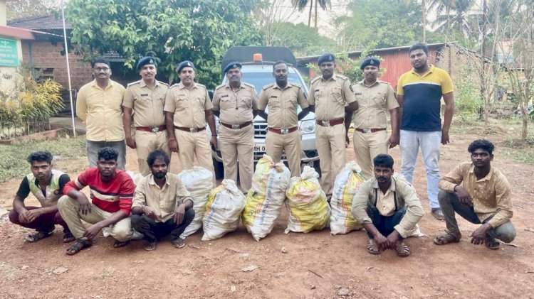 तुळस येथे सप्तरंगी औषधी वनस्पतीची अवैध वृक्षतोड केल्याप्रकरणी ५ जण वनविभागाच्या ताब्यात.  एकूण १२ हजार ५५० रुपयांचा मुद्देमाल जप्त.