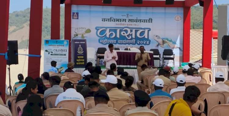 वायंगणी कासव महोत्सव उत्साहात संपन्न.