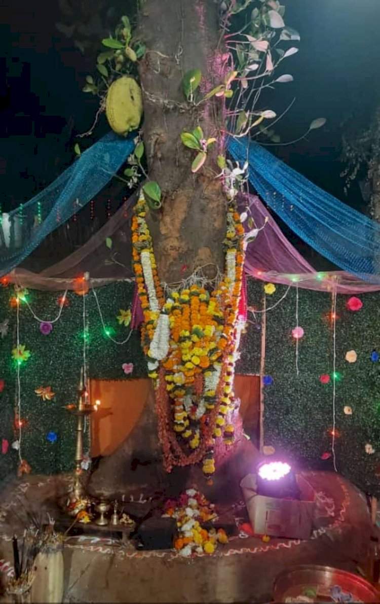 सांगेली येथील प्रसिद्ध गिरोबा उत्सवाची भक्तिमय वातावरणात सुरुवात.