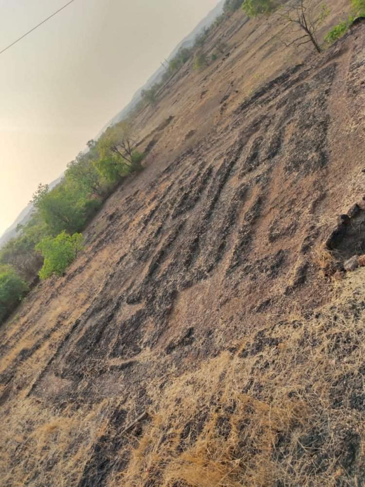 कणकवली तालुक्यातील नांदगाव आणि तोंडावली गावांच्या सीमेवर सापडली दोन कातळचित्रे.
