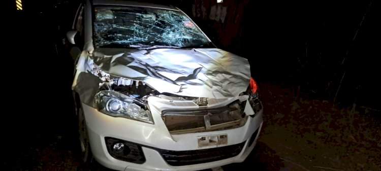 शिरगाव राक्षसघाटी येथे गवारेड्याची कारला जोरदार धडक; गाडीचे लाखोचे नुकसान.