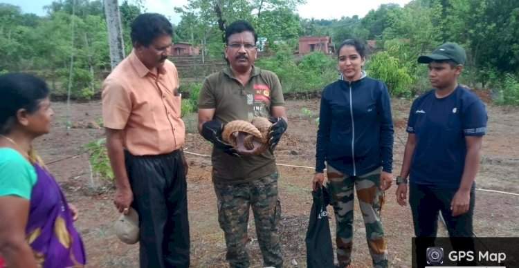 लांजा येथे विहिरीत पडलेल्या खवले मांजराला वनविभागाने दिले जीवदान.
