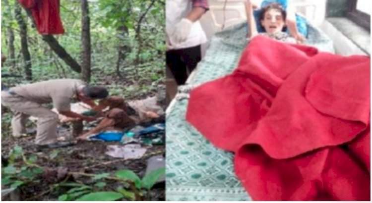 रोणापाल- सोनुर्ली येथील घनदाट जंगलात साखळदंडाने बांधलेल्या स्थितीत आढळली परदेशी महिला; घटनेने सिंधुदुर्गात उडाली खळबळ.