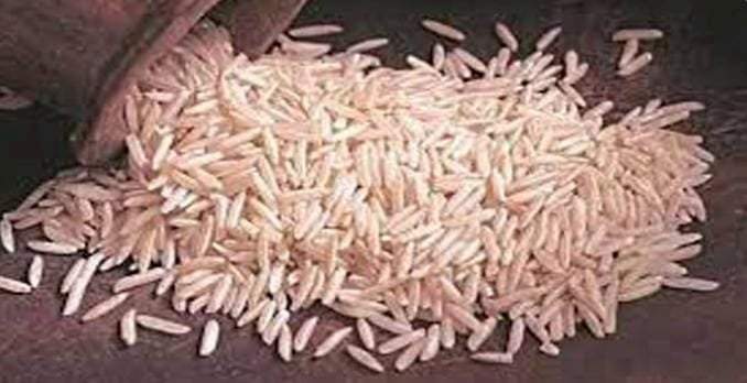 फोर्टिफाईड तांदळाबाबत सिंधुदुर्ग जिल्ह्यात जनजागृती