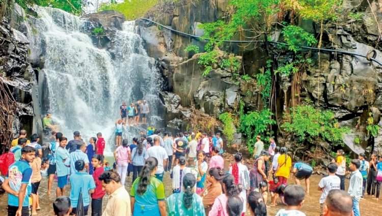 सतत कोसळणाऱ्या पावसामुळे देवगड तालुक्यातील मुख्य धबधबे प्रवाहित